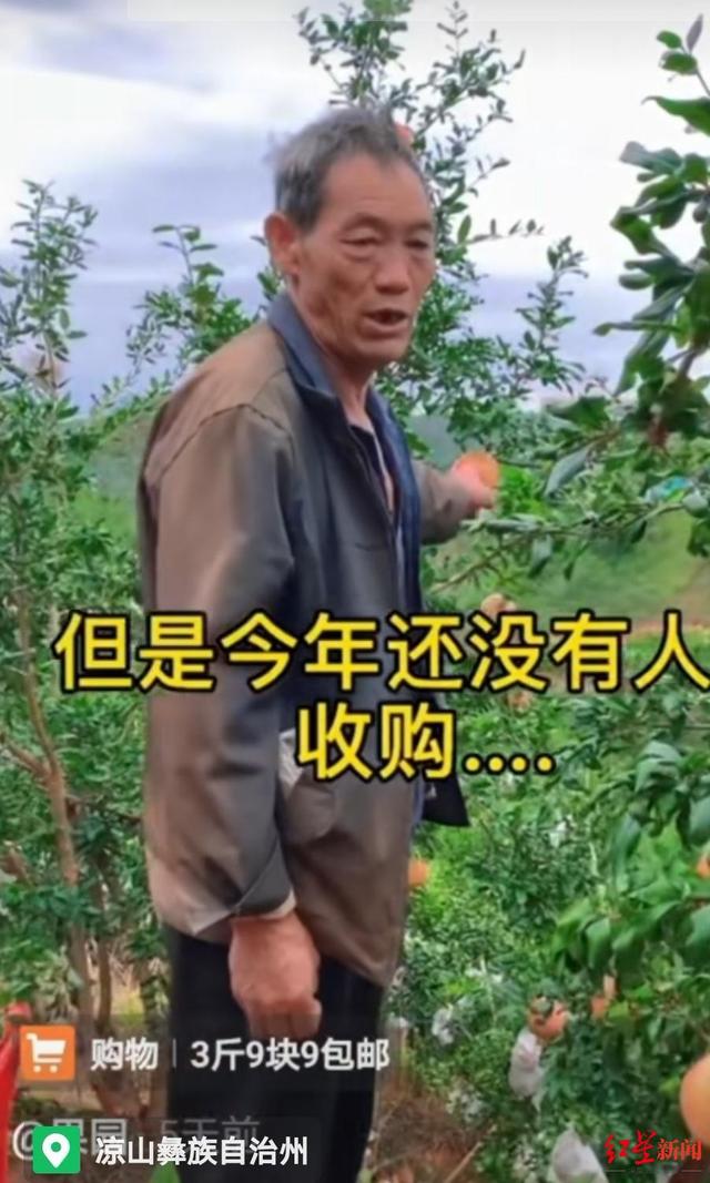 微信下单支付自助平台自助下单不用等客户体验好-万商云集 微信下单支付自助平台自助下单不用等客户体验好-万商云集