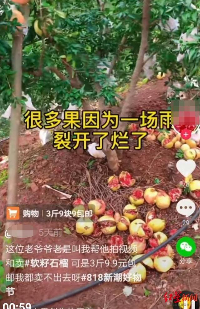 微信下单支付自助平台自助下单不用等客户体验好-万商云集 微信下单支付自助平台自助下单不用等客户体验好-万商云集