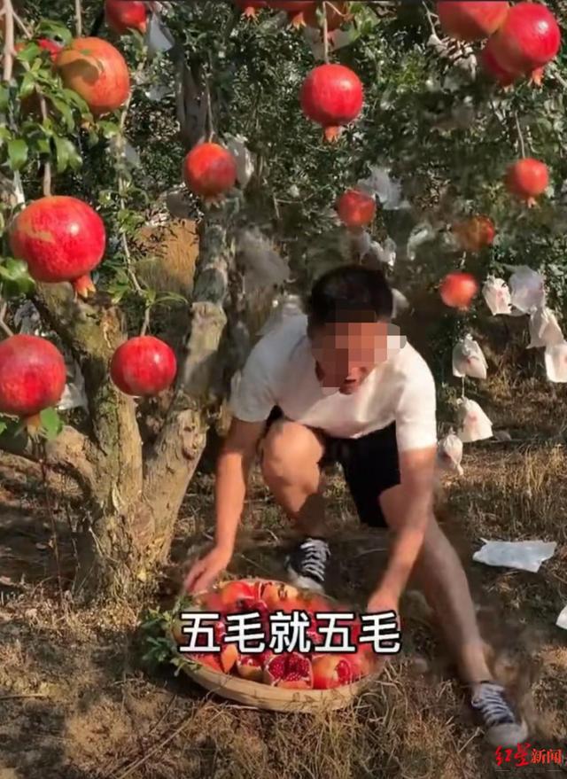 微信下单支付自助平台自助下单不用等客户体验好-万商云集 微信下单支付自助平台自助下单不用等客户体验好-万商云集
