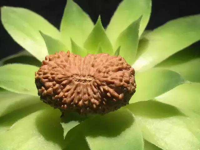 qq名片赞0.1元十万(QQ秀华丽升级,这是要干票大的?)-趣盘玩 qq名片赞0.1元十万(QQ秀华丽升级,这是要干票大的?)-趣盘玩