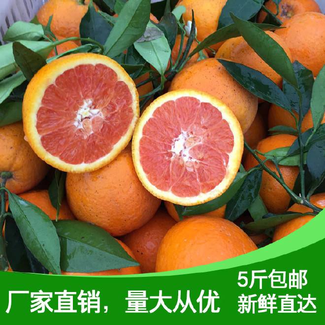 包含快手1万红心是多少钱？点亮红心有什么用？-范小错的词条