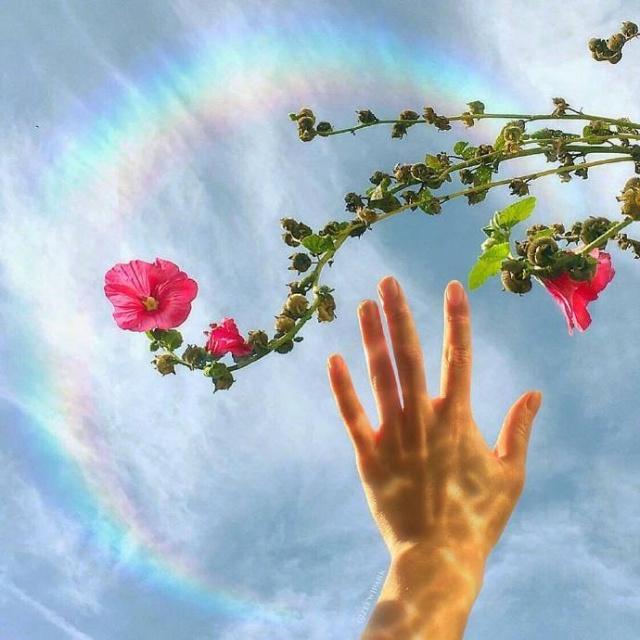 免费说说点赞网（永久免费说说赞平台）