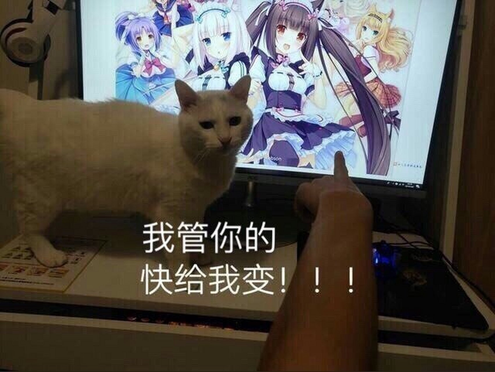1分10000赞（一分10000名片赞）