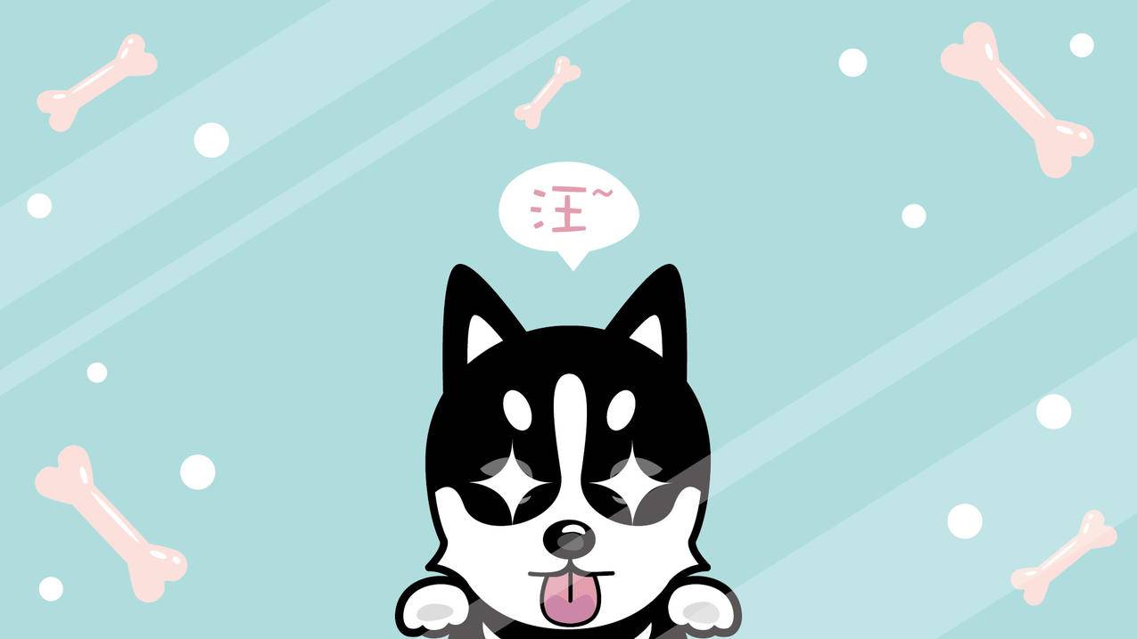 企鹅代刷网快手（企鹅代刷网快手能用吗）