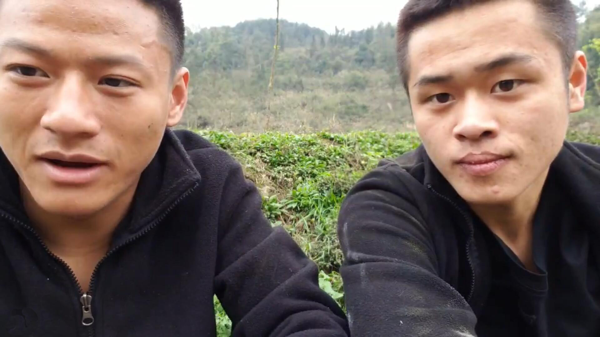 虎哥代刷（虎牙人气代刷网）