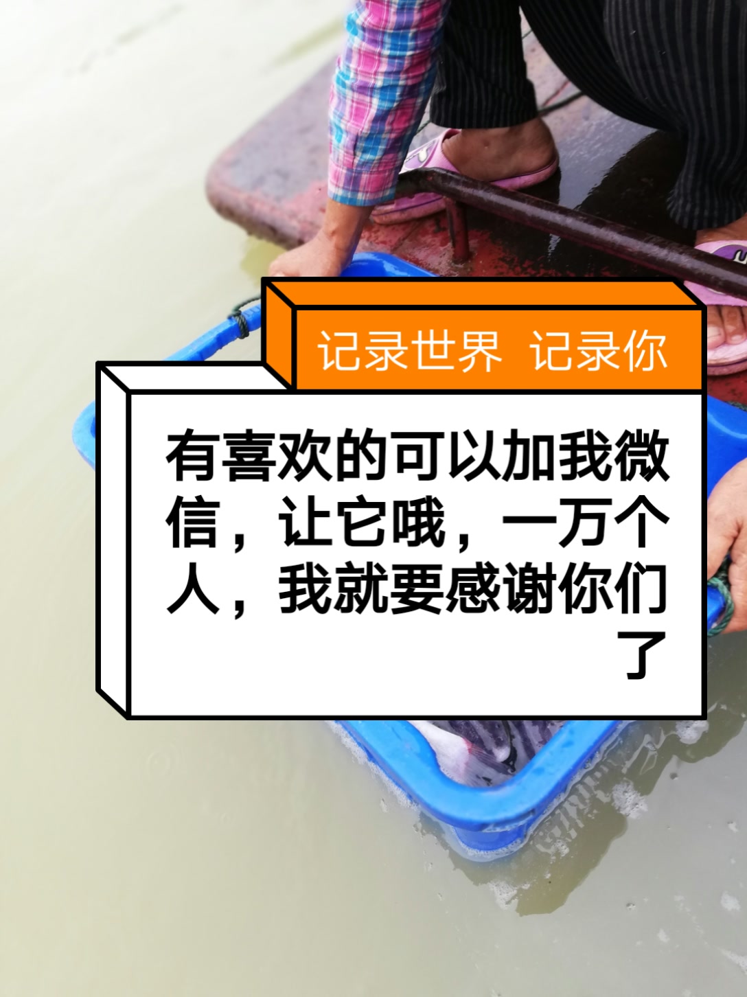 快手买说说赞1毛1000赞（快手买点赞1毛10000赞网站）