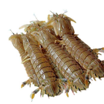 皮皮虾粉丝刷（皮皮虾粉丝多了有什么用）