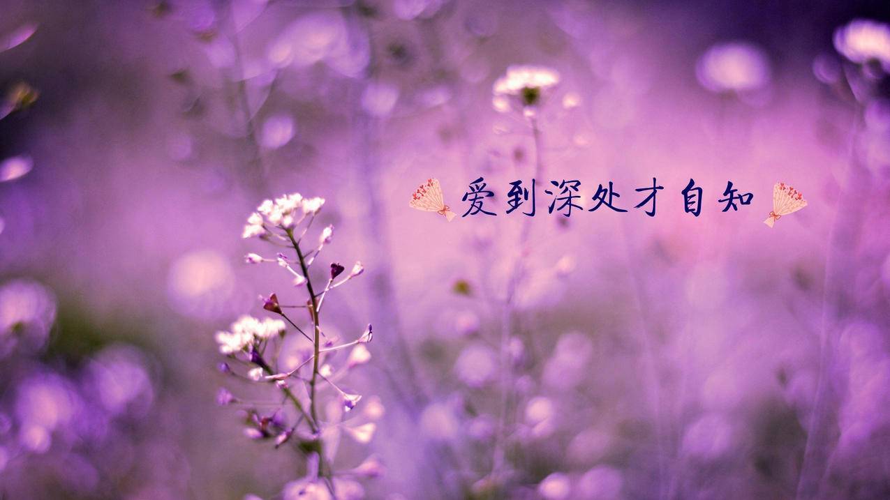空间说说赞全网最低价（空间说说赞低价网站001）
