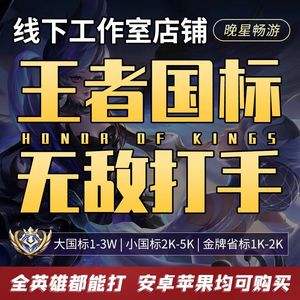 冰封代刷（冰封代网刷）
