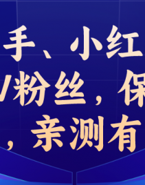 快手代刷小助手（快手代刷小助手是真的吗）