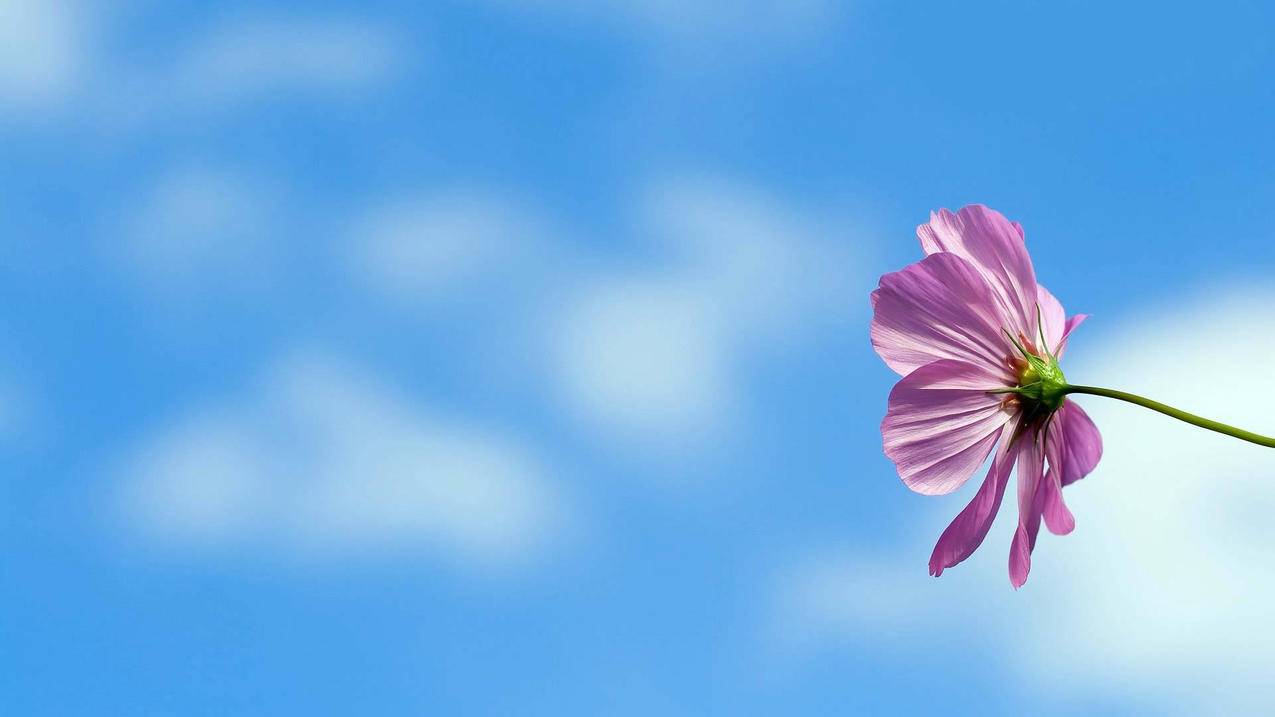 梓豪qq空间说说免费赞网站（空间说说赞免费软件手机版）