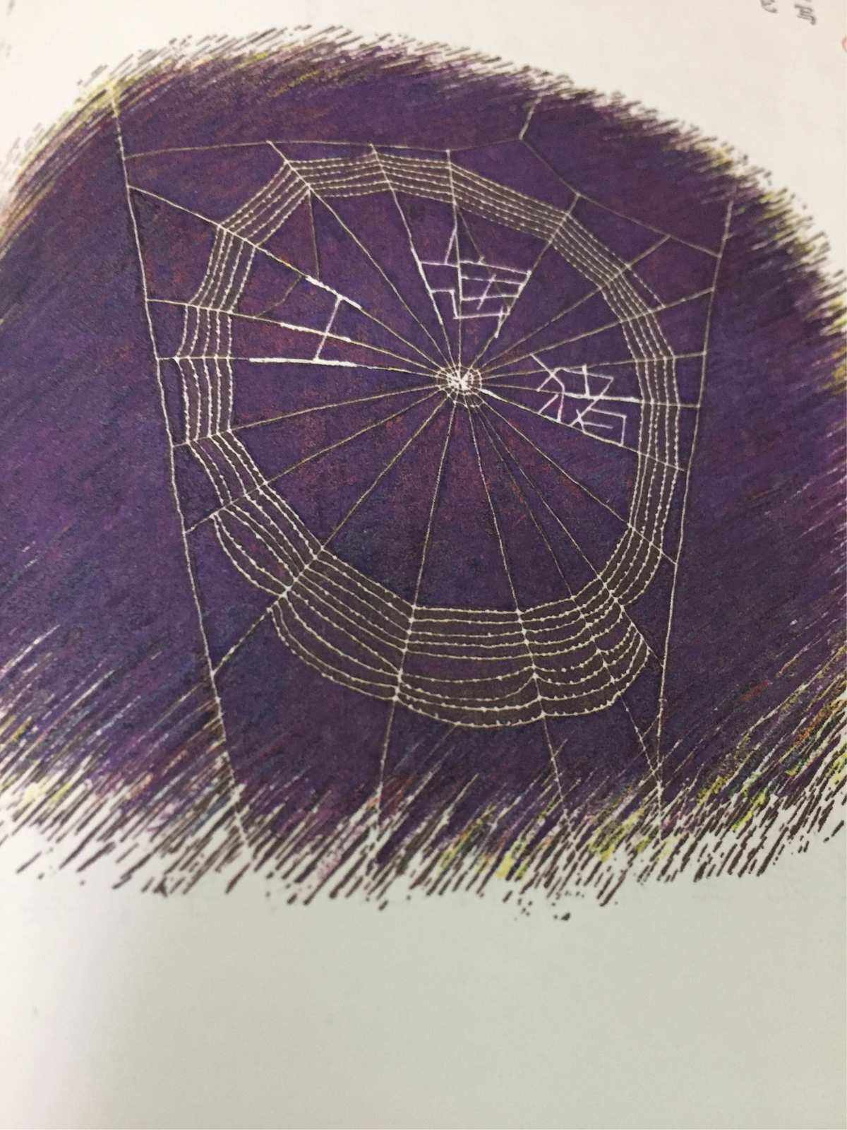 夏洛代刷网的简单介绍