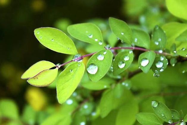 故雨代刷网（代刷网66）