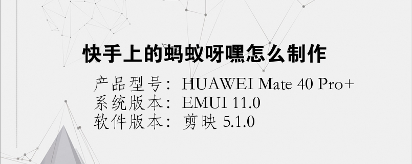 刷快手播放双击蚂蚁网站（刷快手播放双击蚂蚁网站是真的吗）