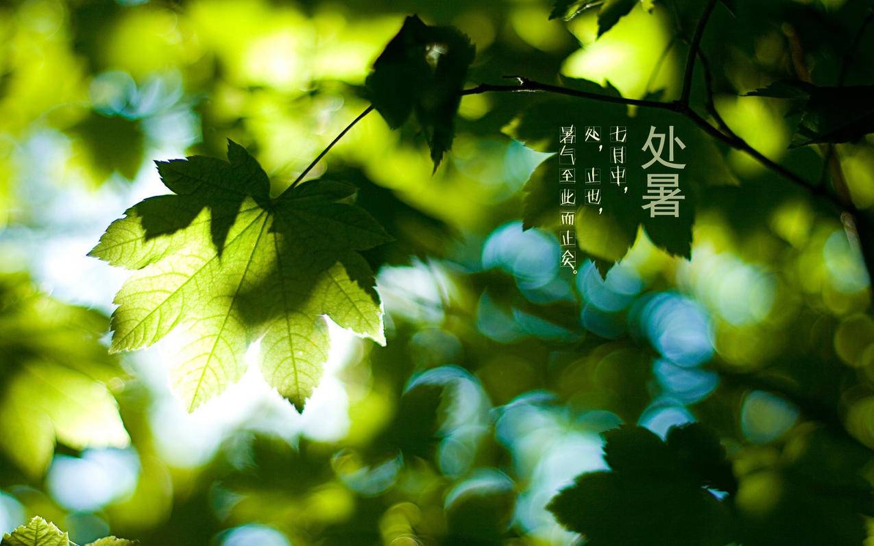 雷神代刷网快手专用微信支付的简单介绍
