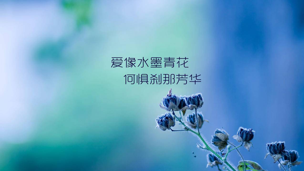 qq空间说说赞免费网站（空间说说赞免费网站领取10个）