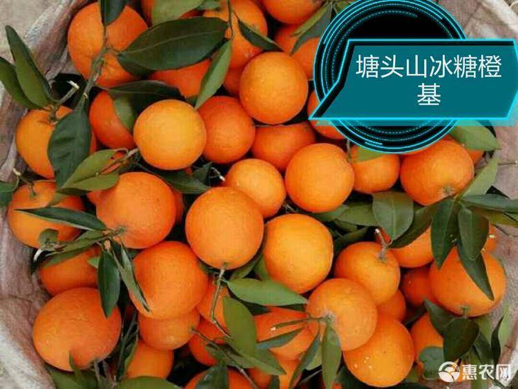 南荷下单（南荷业务网  24小时自助下单平台）