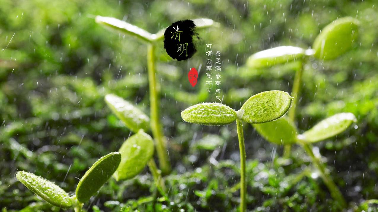 晨曦代刷（晨曦app试玩提现能秒到吗）