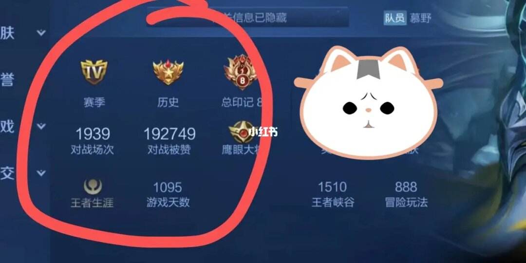 刷王者赞免费的简单介绍