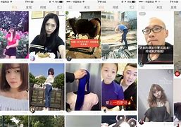 快手刷粉点赞的简单介绍
