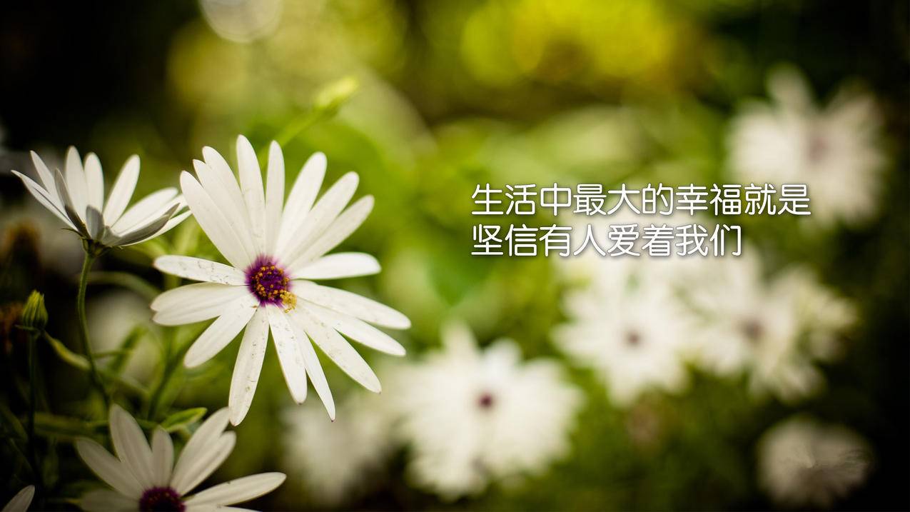 说说赞全网最低价（说说赞全网最低价网站微信）