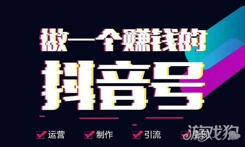 关于刷抖音粉丝0.1元100网站的信息