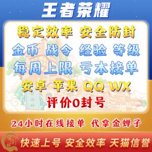 王者荣耀经验代刷网（王者荣耀刷经验辅助软件）
