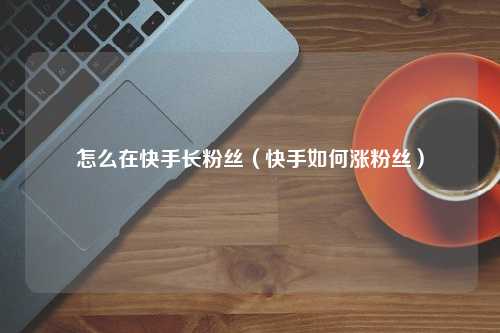 快手刷粉丝最低的简单介绍
