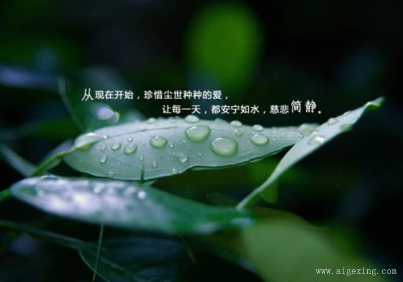 免费领空间说说赞的简单介绍