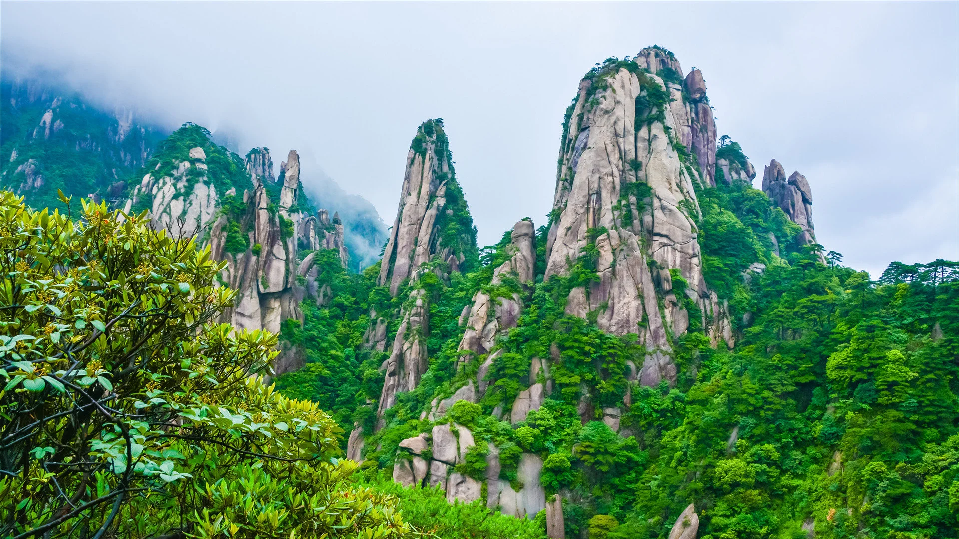 快手刷双击QQ代刷网_快手刷双击代刷网址
