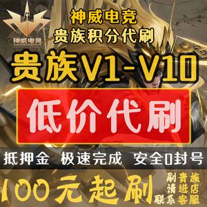 王者人气低价代刷网_代刷王者点券是真的吗