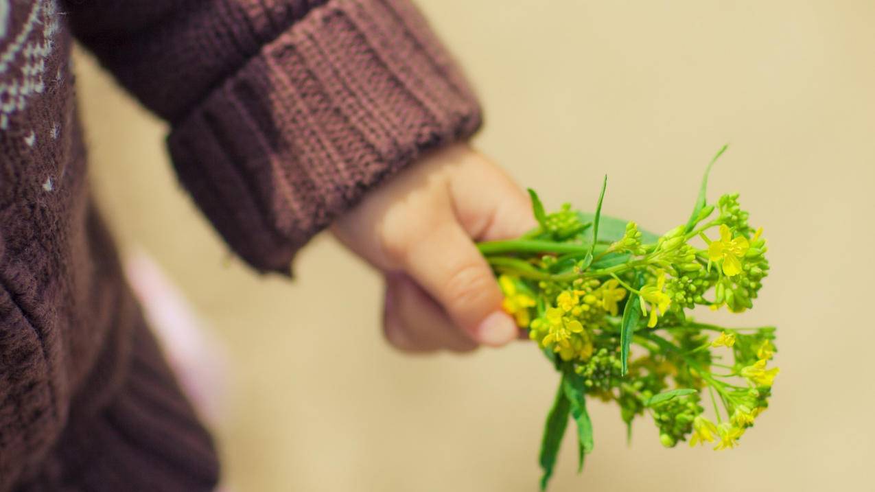 刷赞网址推广_刷赞网址全网最低价