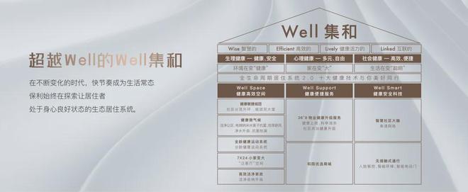 关于24小时在线代刷平台低价的信息