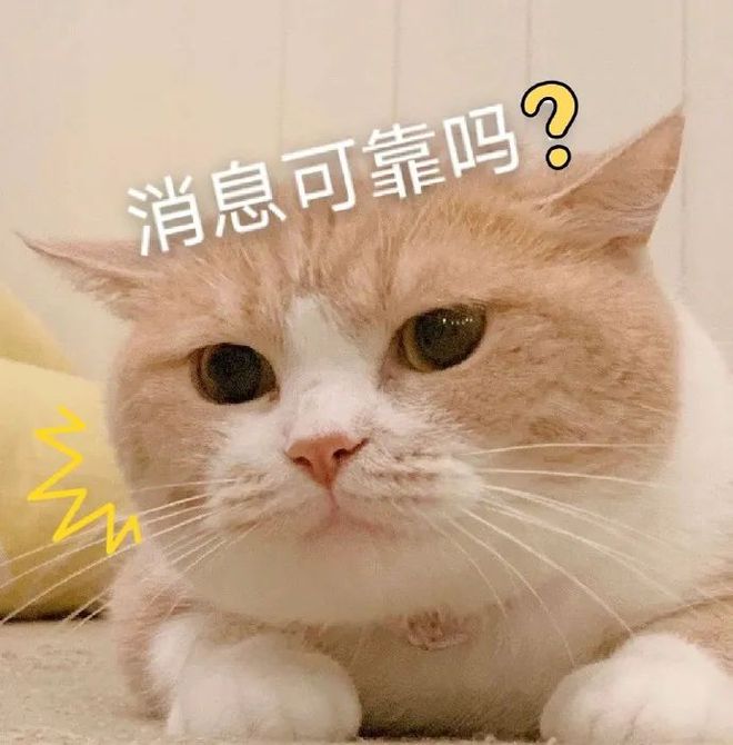 小林业务秒刷网低价的简单介绍