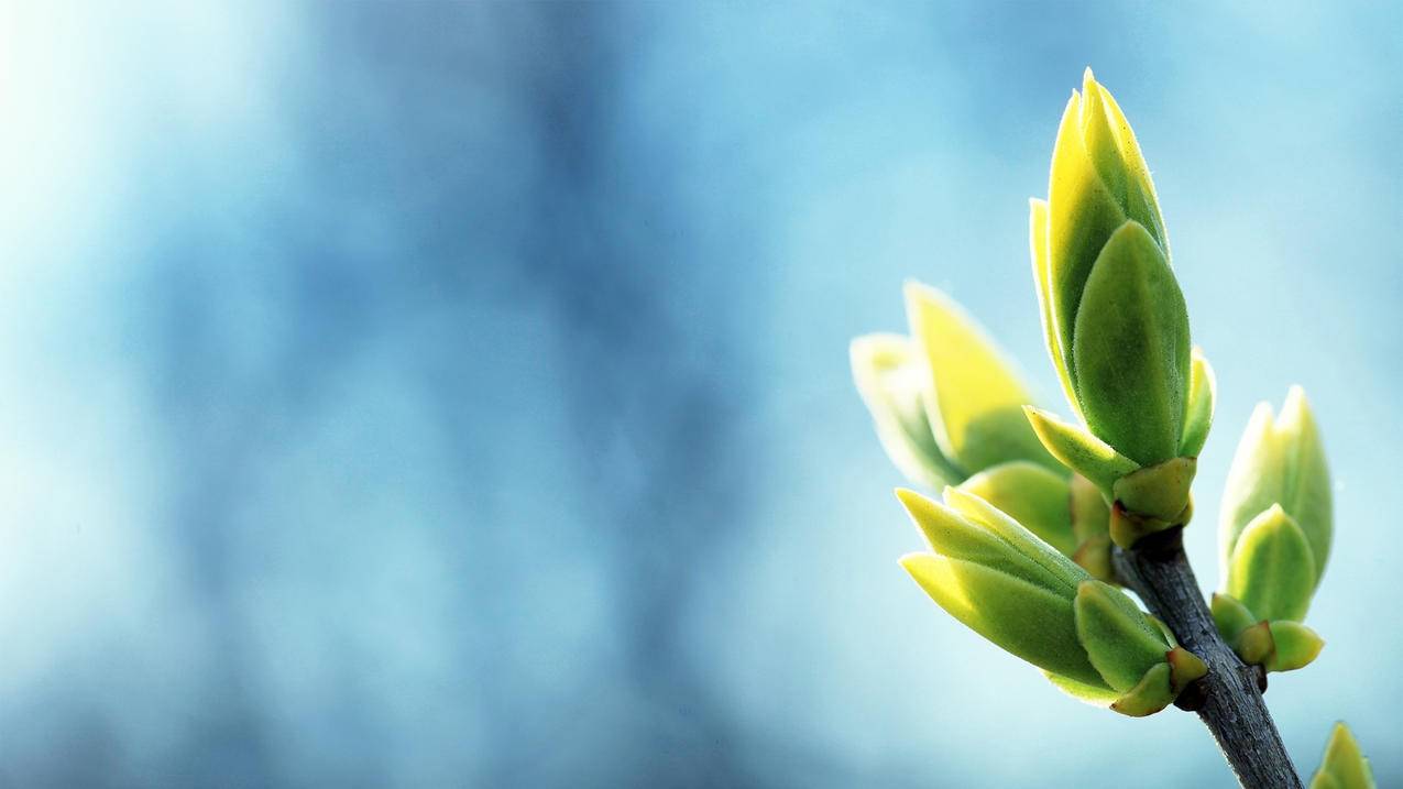 520免费刷赞的简单介绍