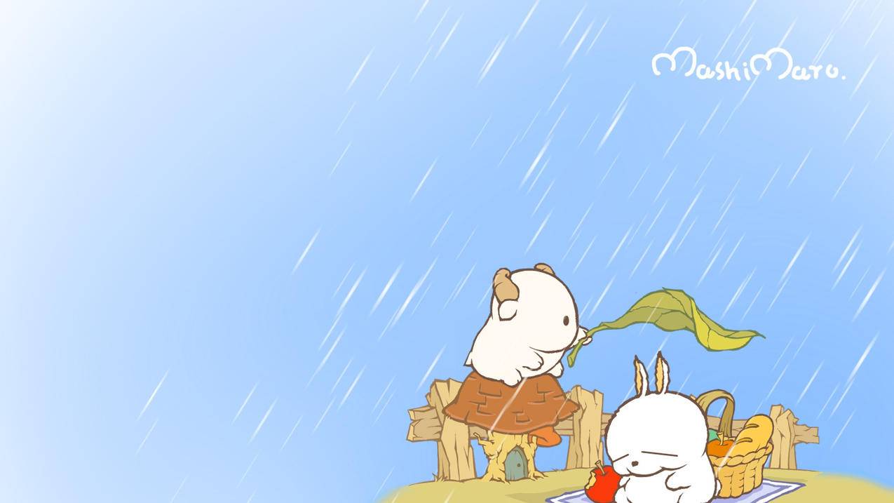 小白兔代刷网_小白兔赚钱任务平台
