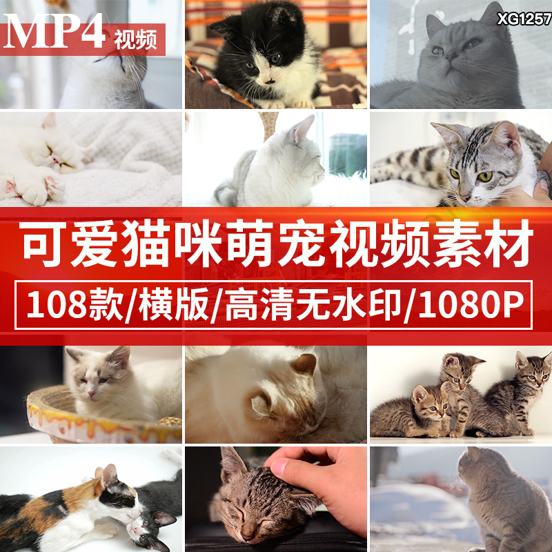 喵代网刷快手_喵代网刷快手有风险吗