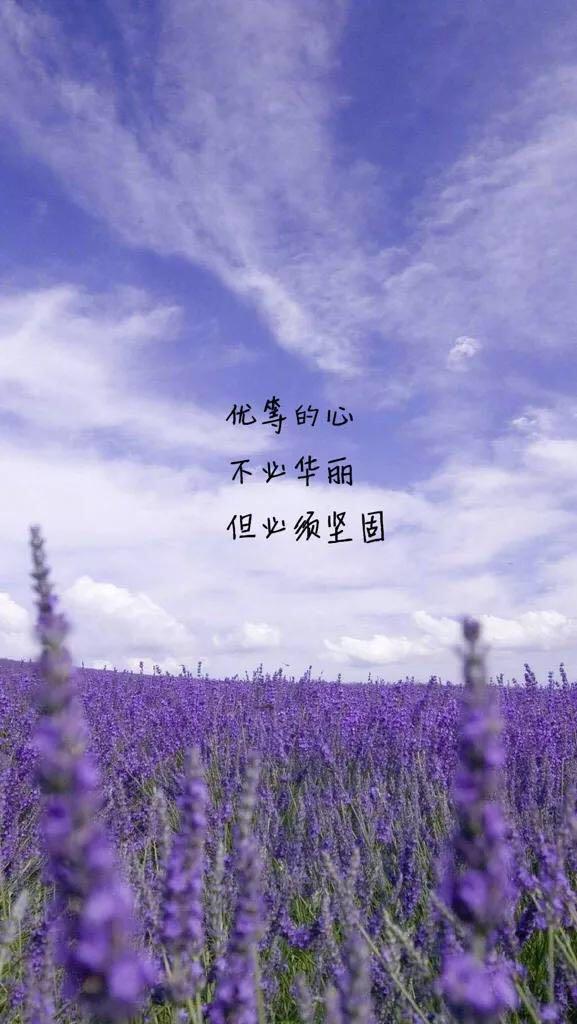 QQ说说点赞_说说点赞有限制吗