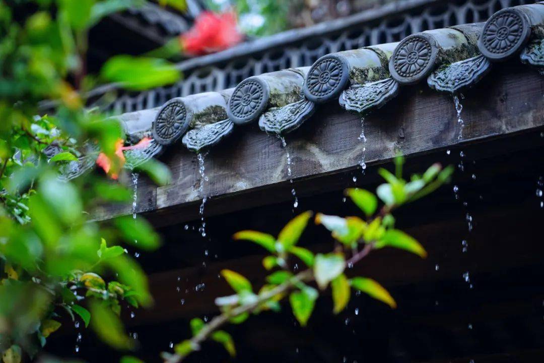 故雨代刷网的简单介绍