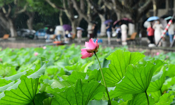 南荷在线刷业务平台的简单介绍