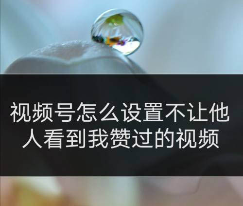 快手买赞1块钱500个的简单介绍