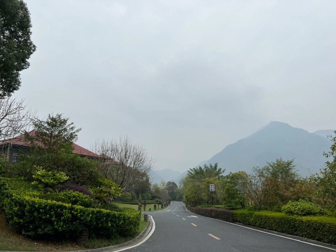 苏苏代刷网_小苏苏代网刷