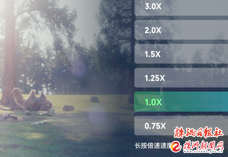 刷播放免费刷_刷播放有用吗