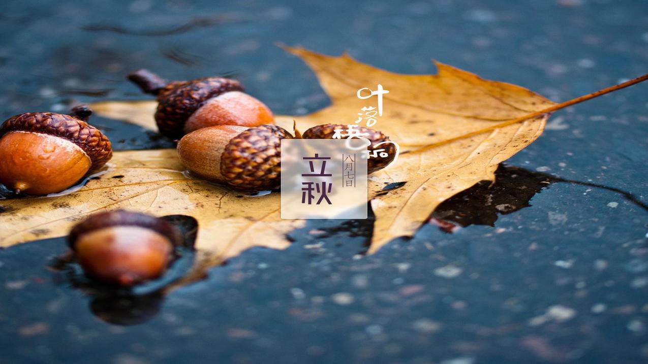 极速代刷_极速代刷腾讯视频会员